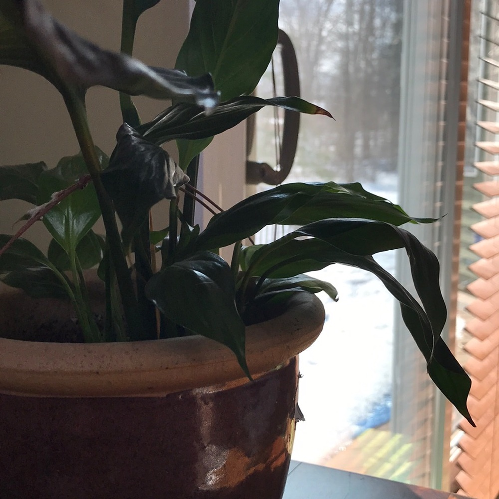 Meet your Posher, Kamila